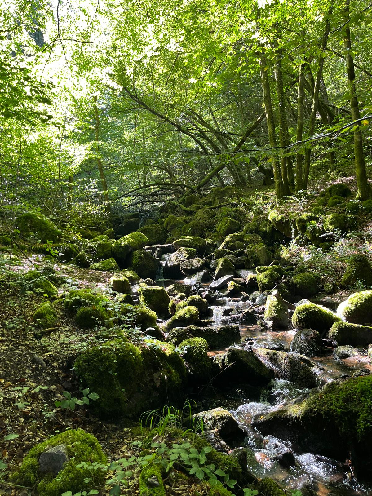 Cascade en Bourgogne